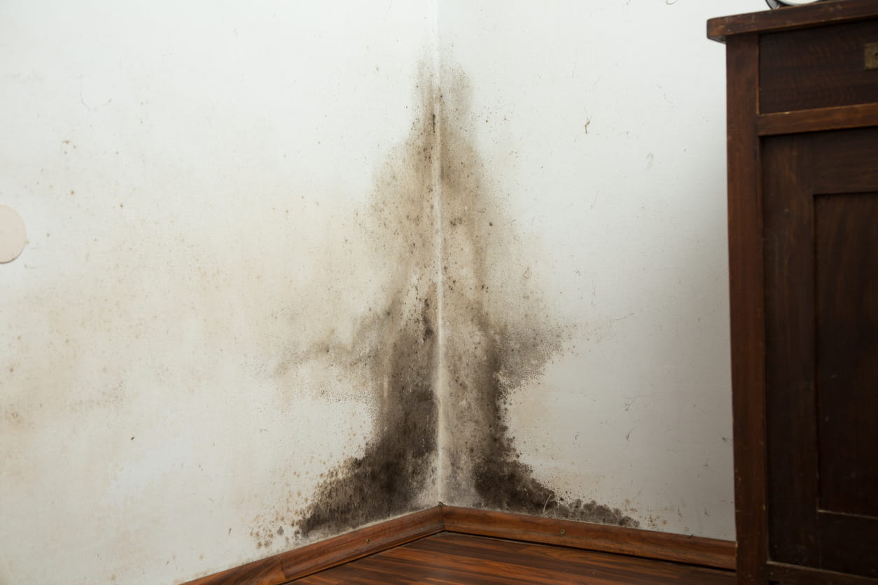 Schimmel an der Wand